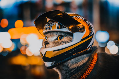 Cat Helmet