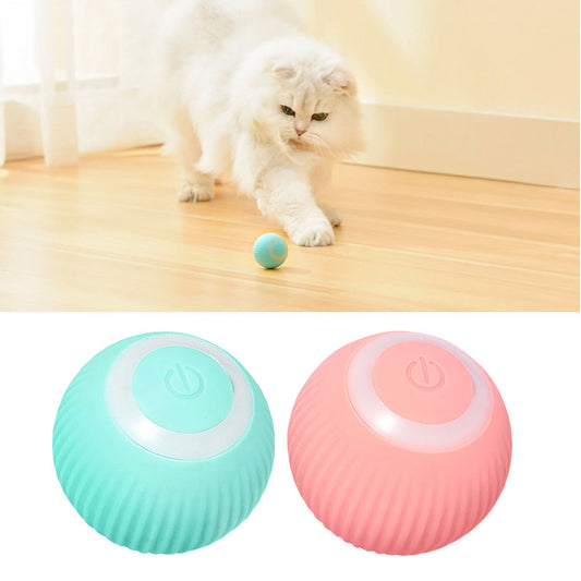 Automatic Cat Ball