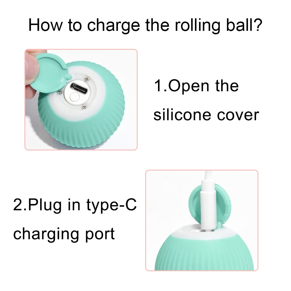 Automatic Cat Ball