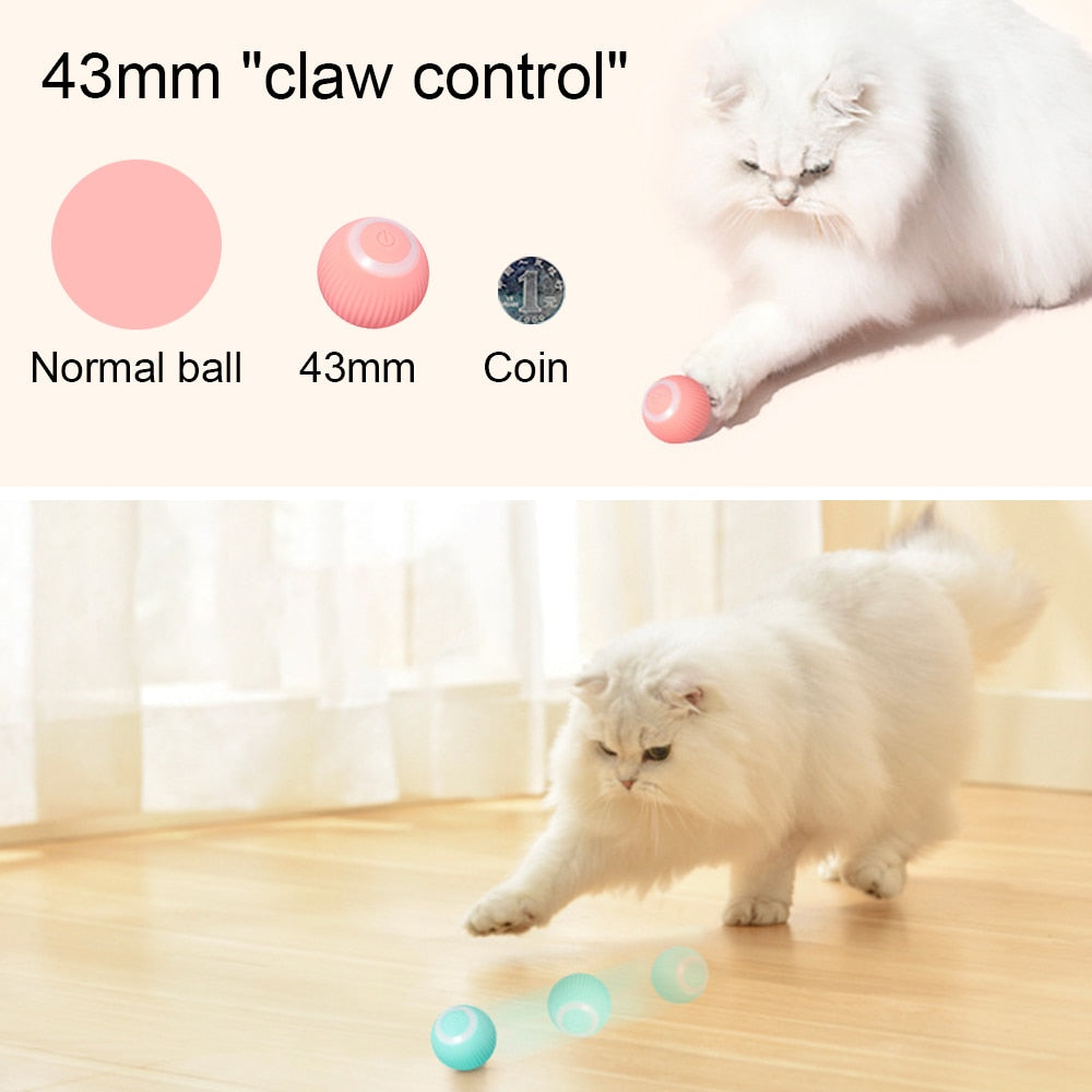 Automatic Cat Ball