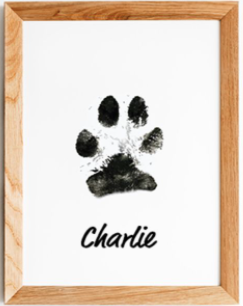 Paw Print Stamp