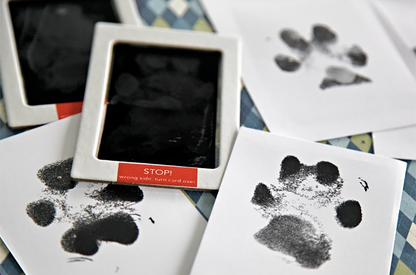 Paw Print Stamp