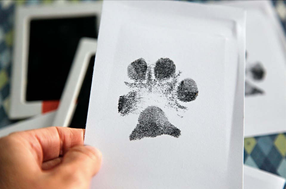 Paw Print Stamp