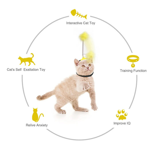 Cat Fun Toy