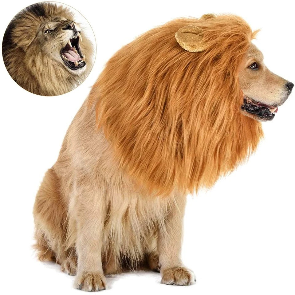 Lion Wig