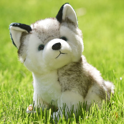 Husky Plush