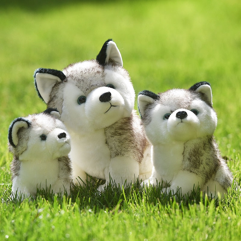 Husky Plush