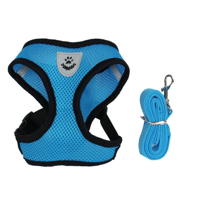 Dog/Cat Walking Harness With Leash