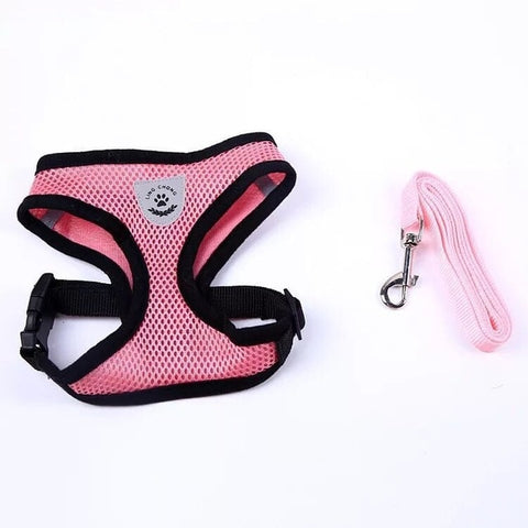 Dog/Cat Walking Harness With Leash