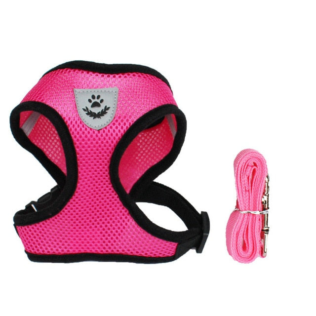 Dog/Cat Walking Harness With Leash