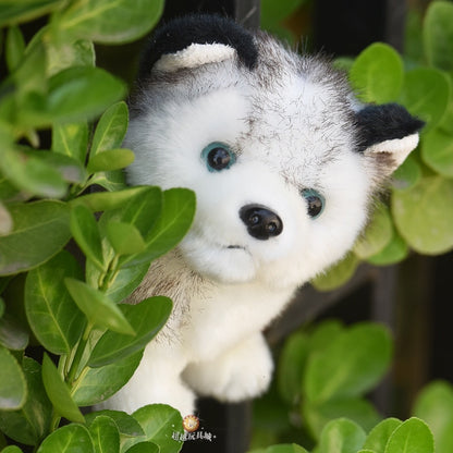 Husky Plush