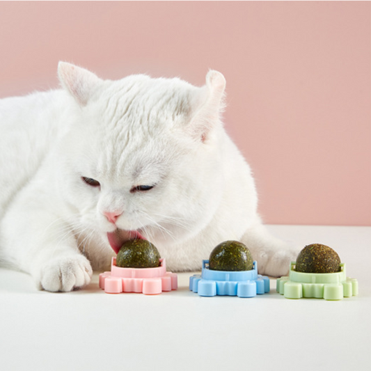 Natural Catnip Ball