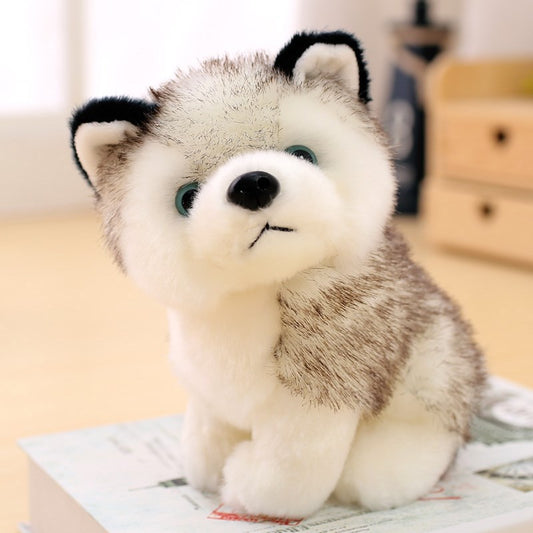 Husky Plush